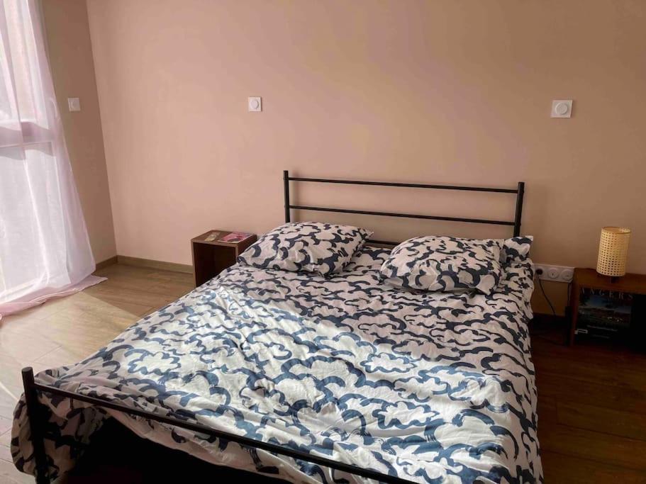 Quai Sud - Gare, 100 M2, Parking, Wifi, Superette, Lave Linge Apartment Анже Екстериор снимка