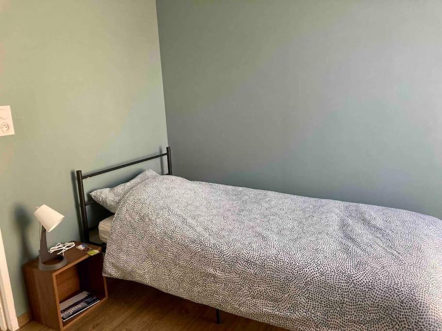 Quai Sud - Gare, 100 M2, Parking, Wifi, Superette, Lave Linge Apartment Анже Екстериор снимка